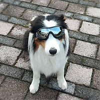 Fashion Pet Dog Goggles Stylish Uv Sunglasses Doggie Dog Accessories Elastic Eye Wear Protection Windproof Glasses Pet Supplies