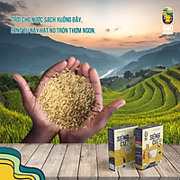 Combo 5kg gạo lứt Séng Cù, đóng gói hút chân không, đặc sản Tây Bắc