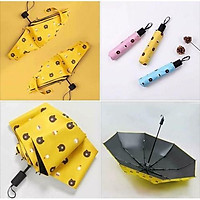 Ô , Dù Gấp Gọn Hình Gấu Brown , Chống Tia UV