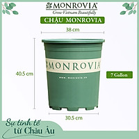 Chậu nhựa trồng cây MONROVIA 7 GL, chậu trồng cây, chậu cây cảnh mini, để bàn, treo ban công, treo tường, cao cấp, chính hãng thương hiệu MONROVIA