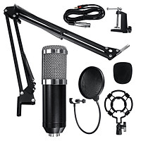 Professional Condenser Microphone Kit Studio Recording Broadcasting+Studio Shock Mount -- Black / Blue