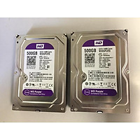 Ổ cứng HDD 500GB Western tím hàng bảo hành 24 tháng