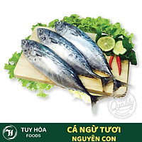 Cá Ngừ Chù Tươi Nguyên Con (Size 1.1~1.2Kg) - Hải Sản Tươi Phú Yên Chưa Qua Chế Biến 100% Không Hóa Chất Bảo Quản