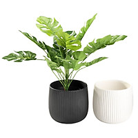 Combo 2 Chậu Cây Oddmund JYSK