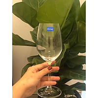 LY RƯỢU VANG OCEAN 15R15 (425ML)