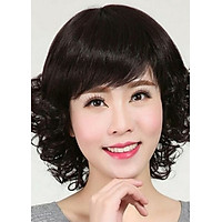 Tóc giả trung niên nữ - TG100