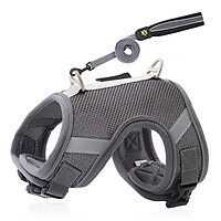 lightweight dog harness