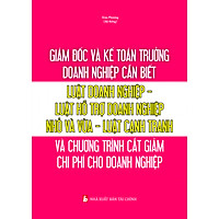 Giám Đốc Và Kế Toán Trưởng Cần Biết – Luật Doanh Nghiệp ,Luật Hỗ trợ Doanh Nghiệp N