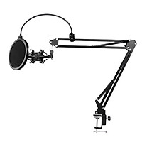 D8 Mic Stand Adjustable Microphone Suspension Arm Stand with Shock Mount Mic Clip Holder for Live Broadcasting Podcast