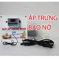 Máy ấp trứng thông minh 2021 - Kênh Chim Cảnh