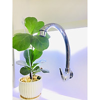 Vòi rửa chén âm tường Q105 QUATRO CHROME WATERTEC MALAYSIA