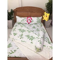Bộ Ga 4 Món Thắng Lợi 1m