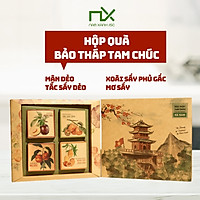Hộp quà 4 mứt sấy Nam Xanh ( Mơ, Mận Tắc, Xoài phủ Gấc)