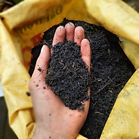 Bịch 5kg đất sạch đã qua xử lý thích hợp trồng rau, cây cảnh rất tiện lợi
