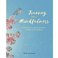 Journey into Mindfulness: Gentle ways to let go of stress and live in the moment