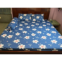 Bộ Drap Cotton THẮNG LỢI 4 món / {chuẩn logo cty}