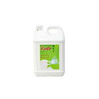 GEL RỬA CHÉN BÁT ĐĨA NANO HỮU CƠ KAITO VIỆT NAM KT3101- 10KG