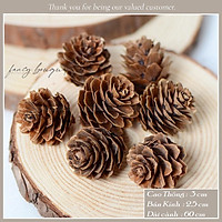 Quả thông khô có cành và không cành ️️ phong cách Vintage - Phụ kiện trang trí nến