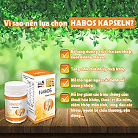 HABOS Kapseln - Hỗ trợ bảo vệ xương khớp, tái tạo sụn khớp, hỗ trợ giảm khô khớp, cứng khớp (Hộp 30 viên)