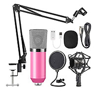 Professional BM700 Condenser Microphone Sound Recording Microphone Mic KTV Singing Studio Recording Kit White