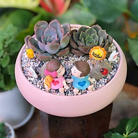 Chậu trồng sen đá, xương rồng, cây mini - Chậu ang bo tròn Bát Tràng - Màu trắng