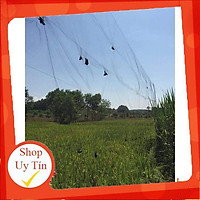 Lưới Bẫy Chim Chào Mào, Họa Mi, Sẻ, Khuyên Cao 5m, Độ Dài Từ 35m-60m, Lưới Chim Thái Lan