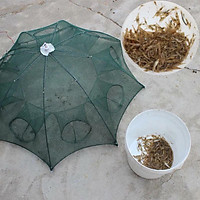 Lưới Đánh Bắt Cá - Lưới Bát Quái thiết kế tiện lợi, hiệu quả cao - lồng ô tiện dụng