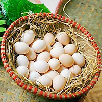 Trứng gà ta nuôi thả Hoà Bình - 10 quả