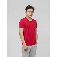 Áo T-shrit nam cao cấp chính hãng Aristino ATS006S9