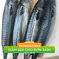 Cá Sapa Nhật DTP 1kg