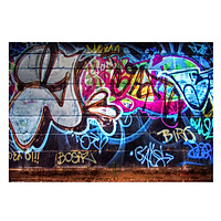 Graffiti Wall Photography Background Cloth Photo Backdrop Studio Prop 5x3FT