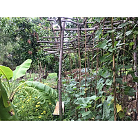 Tour "Mùa hè ở nông trại" - Cùng con khám phá thiên nhiên hồ Trị An 2N1Đ