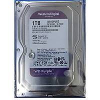 Ổ Cứng Camera WD Purple 1TB/64MB/3.5 IntelliPower WD10PURZ/WD10PURX - Hàng Chính Hãng