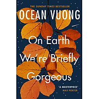 Tiểu thuyết  tiếng Anh- On Earth We're Briefly Gorgeous (Ocean Vuong)