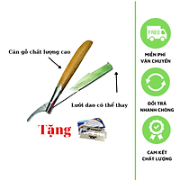 Dao Cạo Râu Tóc Mặt Tỉa Chân Mày Cán Gỗ Đa Năng Tặng Kèm 10 Lưỡi Cạo