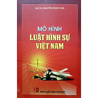 Mô Hình Luật Hình Sự Việt Nam