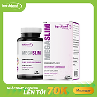 Thực phẩm chức năng hỗ trợ giảm cân hiệu quả MegaSlim