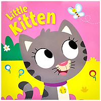 Little Kitten