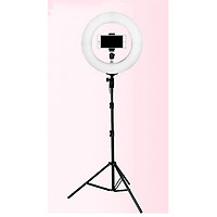 Đèn tripod livetream makeup, quay phim ,chụp ảnh đa năng