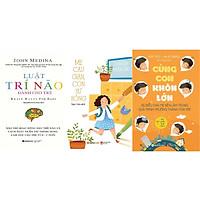 Bộ Sách Hay: Hiểu Con Và Đồng Hành Cùng Con (Gồm 3 Cuốn: Luật Trí Não Dành Cho Trẻ + Mẹ C