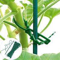 Bộ 50 Dây Buộc Cây Dụng Cụ Làm Vườn ama96