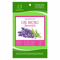 Combo 2 gói Hạt giống hoa Lavender Golden Seeds 50 Hạt