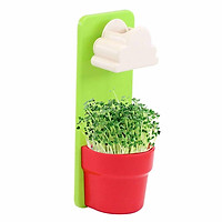 Creative Planter Pot Wall Hanging Cloud Flowerpot Plastic Mini Desktop Flower Pot Wall-Hung Rain Water Pot Home Decorative