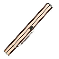 Bút Trình Chiếu Laser