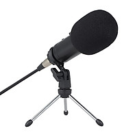 Professional Condenser Microphone Studio Sound Microphone Recording Broadcasting Sound Card Earphone Port with