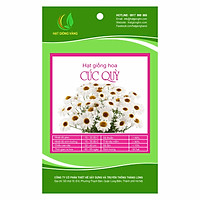 Combo 2 gói Hạt giống hoa Cúc quỳ Golden Seeds 50 Hạt