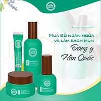 Bộ dưỡng da sạch mụn Đông Y Hàn Quốc The Nature Book