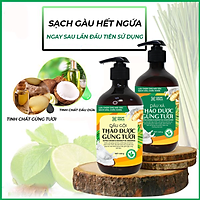 Bộ dầu gội thảo dược gừng dừa Cocayhoala hỗ trợ trị gàu, giảm nấm ngứa, dung tích 440g/chai- 95% thành phần từ gừng tươi hữu cơ còn nguyên xơ gừng, hỗ trợ trị rụng tóc, kích thích mọc tóc vượt trội