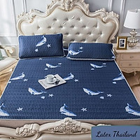 Chiếu Điều Hòa Cao Su Non - Chiếu Cao Su Non Tencel Latex Hàng Loại 1- Cỡ nhỡ 1m4x2m/ 1m5x2m - Quà Tặng Hấp Dẫn