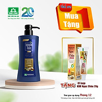 Dầu gội Dược liệu Nguyên Xuân Sạch Gàu 350ml Khuyến mãi 35ml